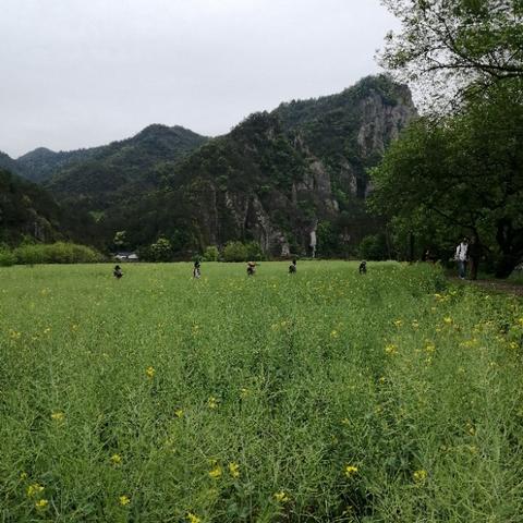 (云端问仙的云端仙境怎么过)在云端问仙，探寻最高境界之秘