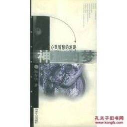 探寻圣杯记：揭开古老传说背后的秘密与智慧，深入TXT文本的魅力与启示