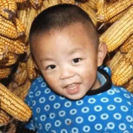 全面解析：命运骑士团阵容的最佳搭配与策略，让你在战斗中事半功倍
